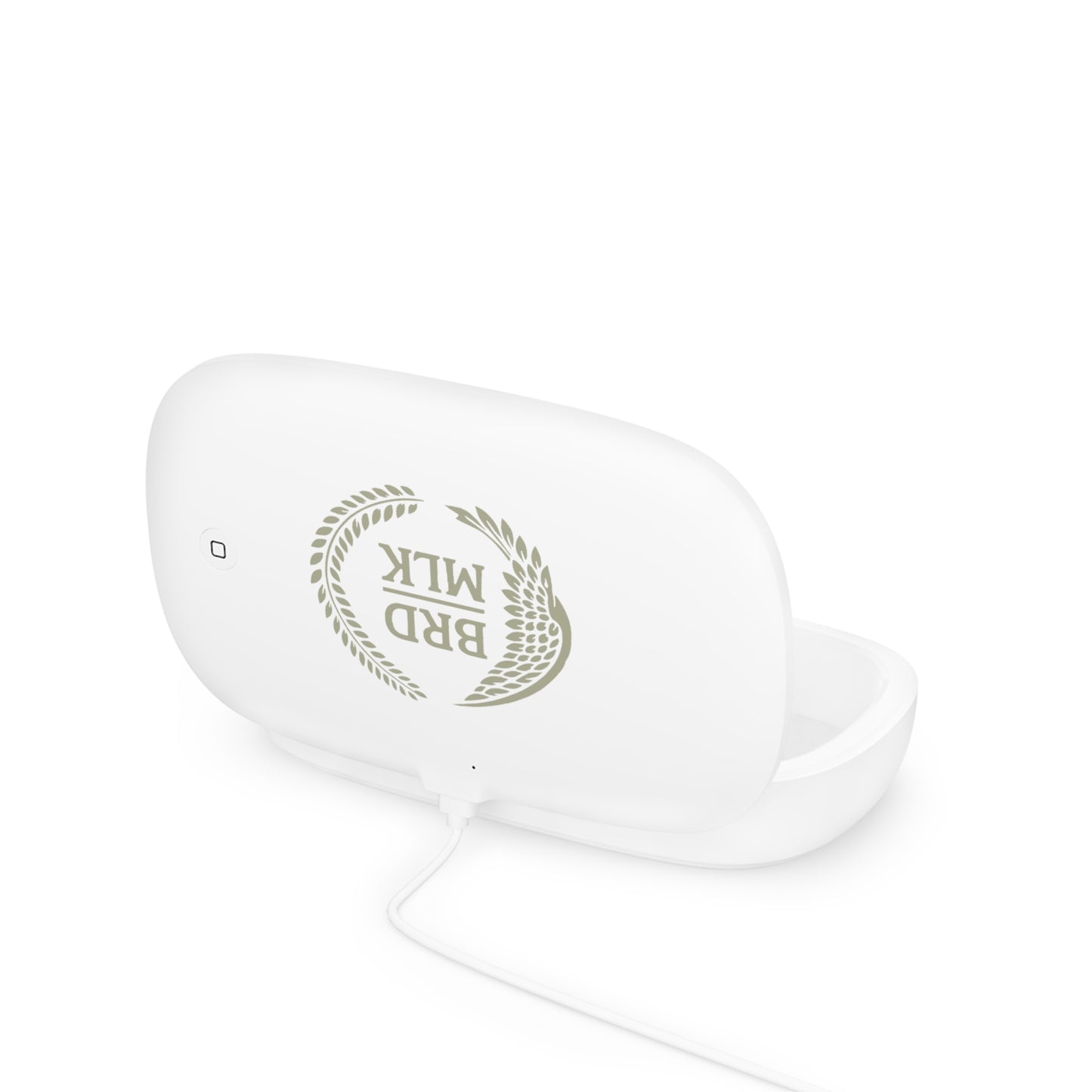 SENTINEL EGG \\. CLEAN_CHARGE_STORE.